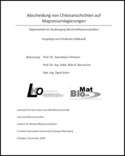 Deckblatt der ersten Diplomarbeit am Lehrstuhl