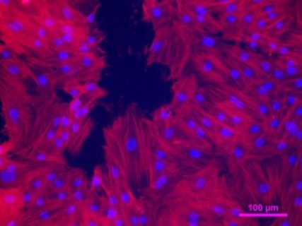 Verschieden gerichtete rote Phasern mit blauen Punkten