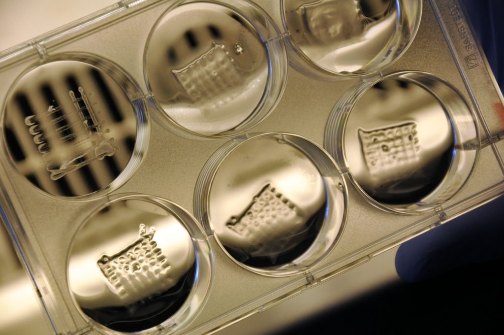 Biofabrication & Hydrogels