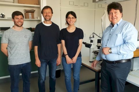 Prof. Fabry und Prof. Boccaccini mit Jonas Hazur und Elham Mirzahossein