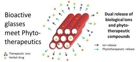 Towards entry "Bioactive glasses meet herbal medicine: our review paper published in Biomaterials"