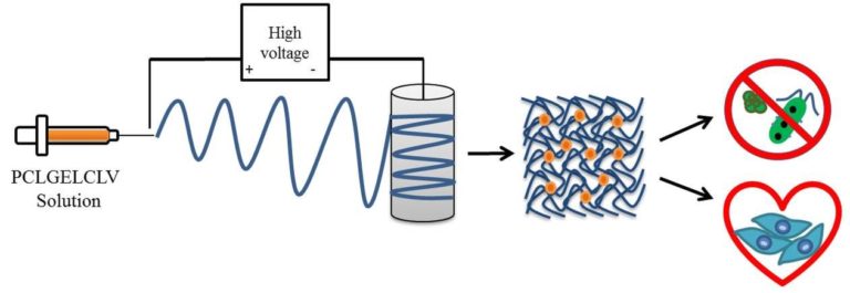 Our paper on electrospun fibres containing essential oils for wound healing published