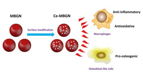 Towards entry "Our paper on multifunctional mesoporous glass nanoparticles published in Materials Today Bio"