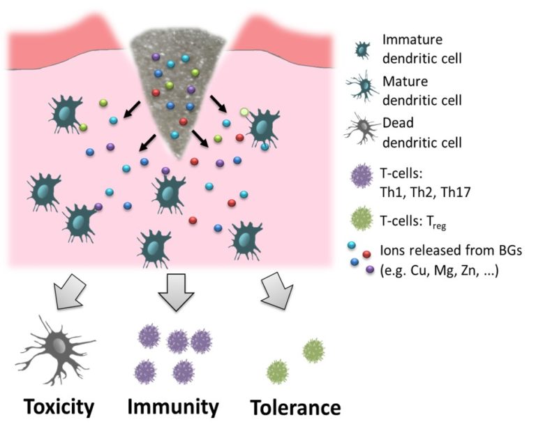 Our new paper on bioactive glasses published in Biomaterials Science
