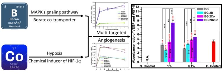 Our paper in collaboration with FunGlass Centre researchers published in Mater. Sci. Eng. C