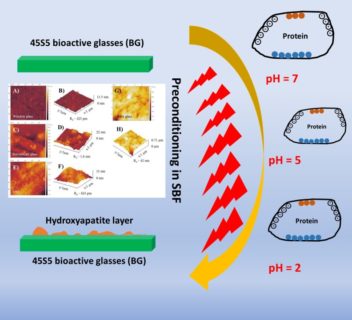 Towards entry "Our paper on bioactive glass-protein interactions published in Advanced Materials Interfaces"