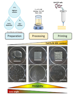 Towards entry "Our new new paper on bioprinting of alginate published in “Biofabrication”"