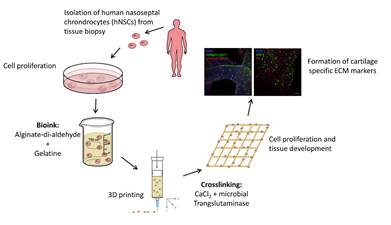 Towards entry "3D printed alginate-di-aldehyde/gelatin dual crosslinked hydrogel for cartilage tissue engineering: new publication"