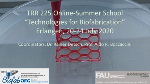 Towards entry "Successful Summer School  “Technologies for Biofabrication”"