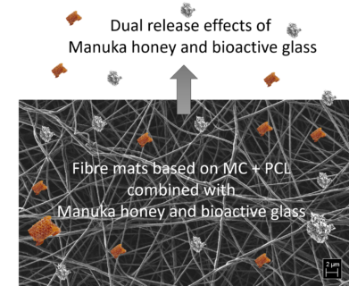 Towards entry "Polymer fibres containing methylcellulose, bioactive glasses and Manuka honey for novel wound dressings"