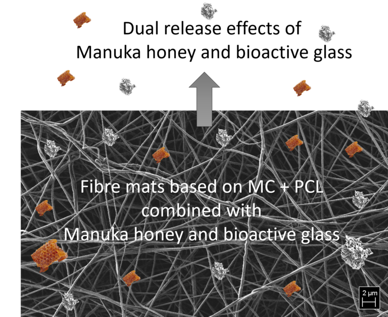 Polymer fibres containing methylcellulose, bioactive glasses and Manuka honey for novel wound dressings