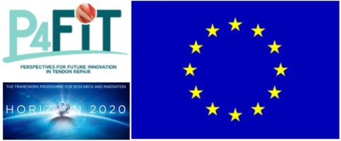 Towards entry "New Ho­ri­zon 2020 MSCA-ITN-EJD EU pro­ject at the Institute of Biomaterials"