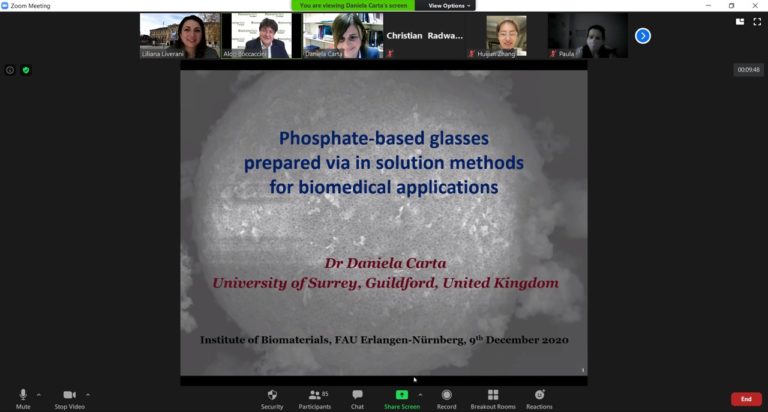 Dr. Daniela Carta (Surrey University) presents invited seminar in our Institute