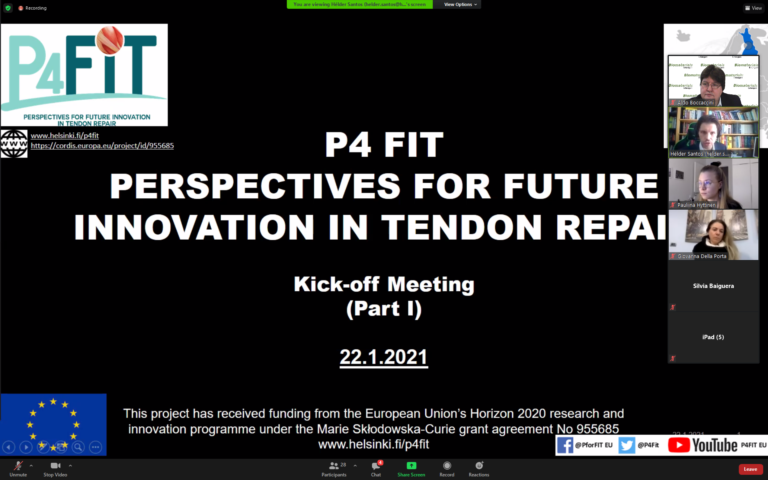 Kick-Off meeting (Part I) of P4 FIT (EU funded ITN project)