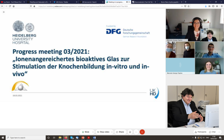 Research in Progress meeting: Heidelberg-Erlangen collaboration on ion doped bioactive glasses