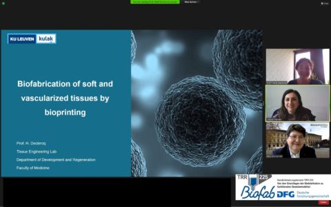 Towards entry "Prof. Heidi Declercq (KU Leuven, Belgium) delivers seminar on biofabrication of vascularized tissue"