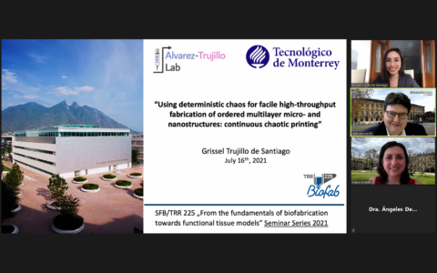 Towards entry "Prof. Grissel Trujillo de Santiago (Tecnologico de Monterrey, Mexico) delivers seminar on continuous chaotic bioprinting"
