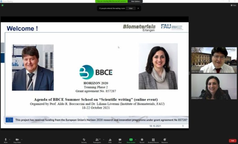 Successful organisation of the BBCE Summer School 2021 