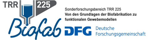 Towards entry "Our Collaborative Research Center SFB/TRR 225 “Biofabrication” extended 4 more years by the DFG"