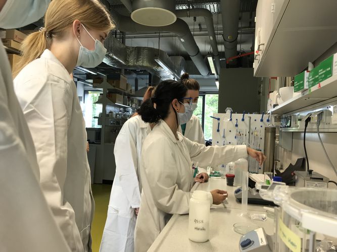 BBCE guests getting teached in the lab