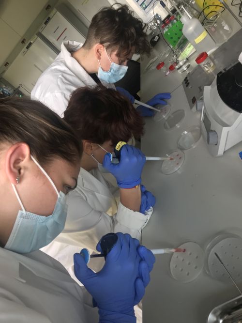 BBCE guest doing pipetting in the lab