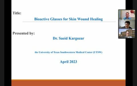 Towards entry "Dr. Saeid Kargozar gives invited (online) lecture in our Institute"