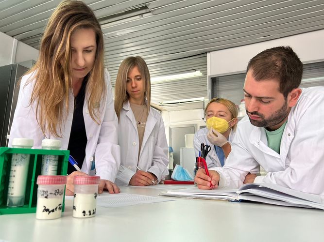 Faina Bider and Zoya Hadzhieva with greek colleagues planing the lab work