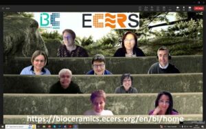 Screenshot of zoom meeting showing all the participants and the link to the ECERS website