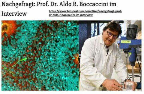 A picture of Prof. Boccaccini in the lab.
