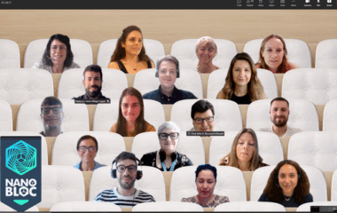 Picture with prof. Boccaccini and all the online participants