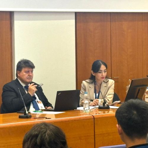 Prof. Boccaccini chair